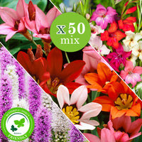 50x Flower bulbs - Mix 'For Bees & Butterflies' Purple-Yellow-Blue