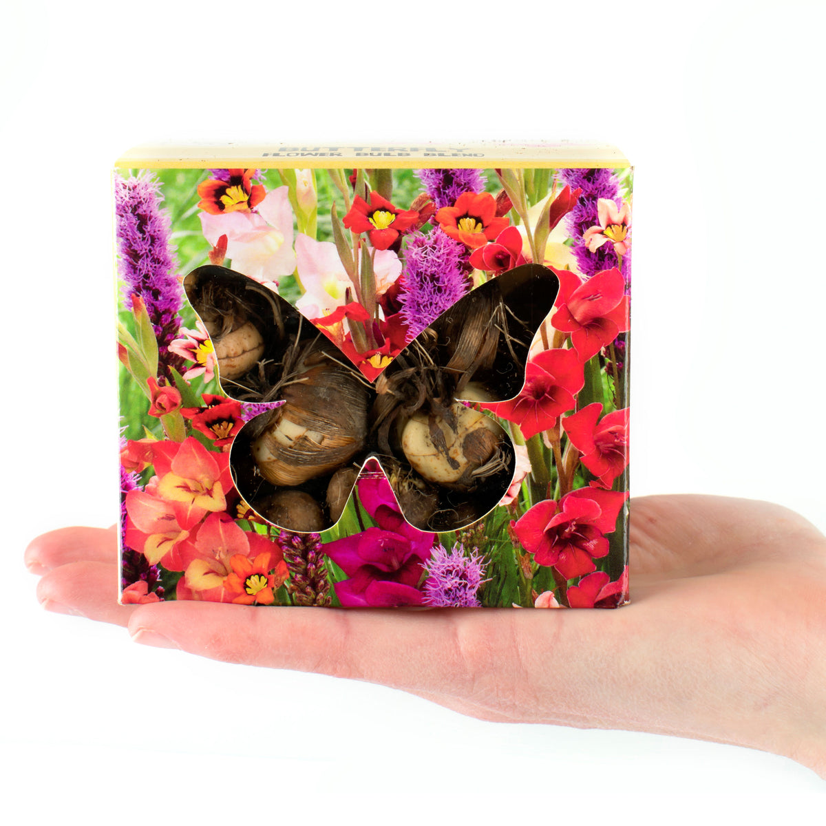 100x Tubers - Mix 'Butterfly'