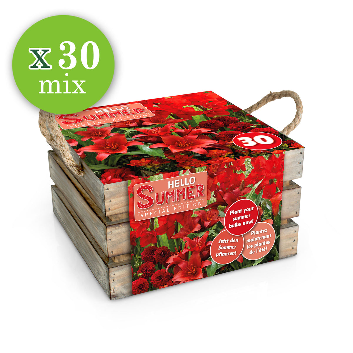 30x Flower bulbs - Mix 'Hello Summer!' red