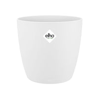4x Air-purifying plants - Mix incl. Elho decorative pots White