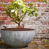 Mica vase Bravo round grey - Indoor and outdoor pot