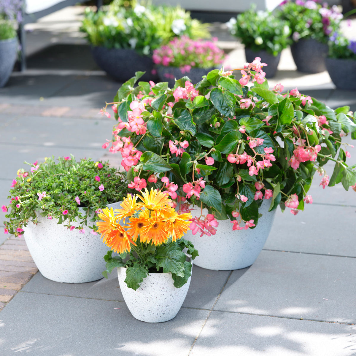 TS Flower pot Nova round white - Outdoor pot