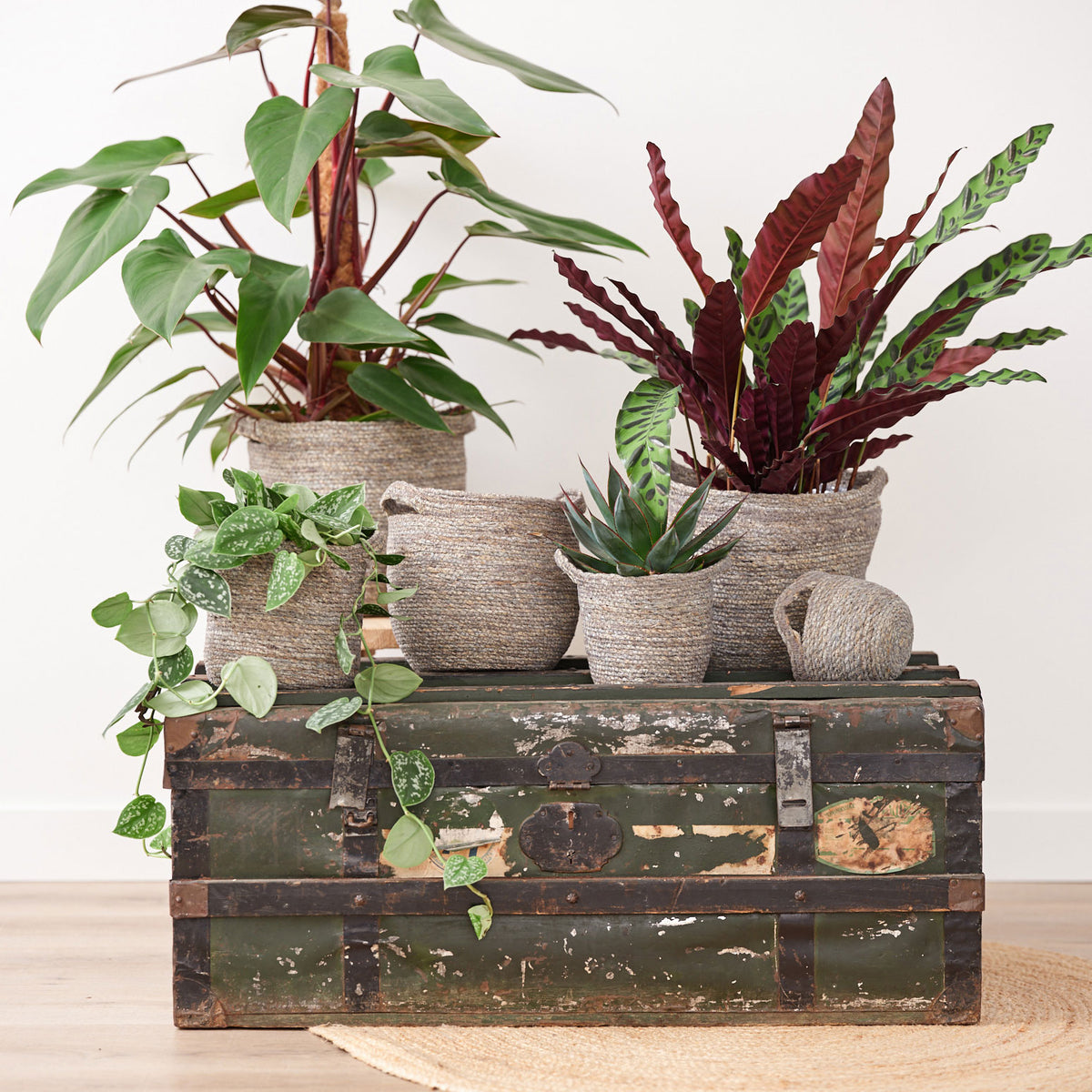 TS basket Nelis round grey - Indoor pot