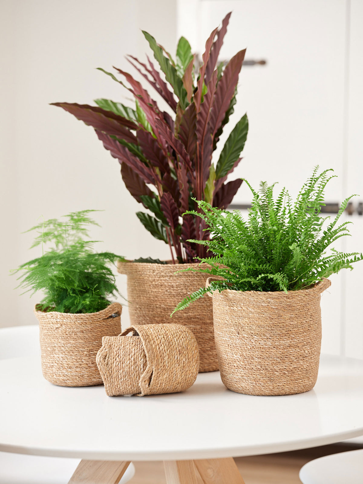 TS basket Nelis cream - Indoor pot