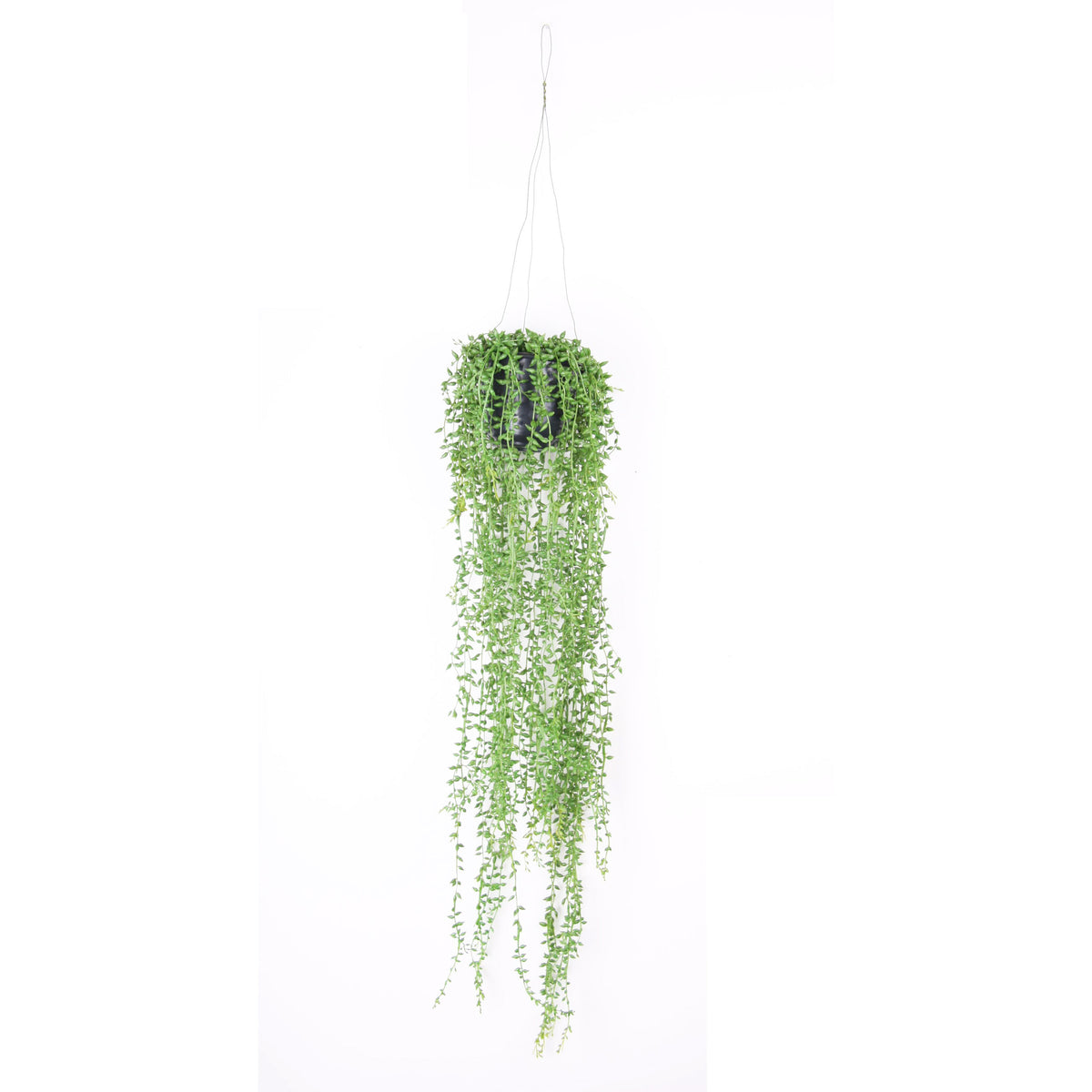 Artificial plant Pea plant Senecio incl. black hanging planter