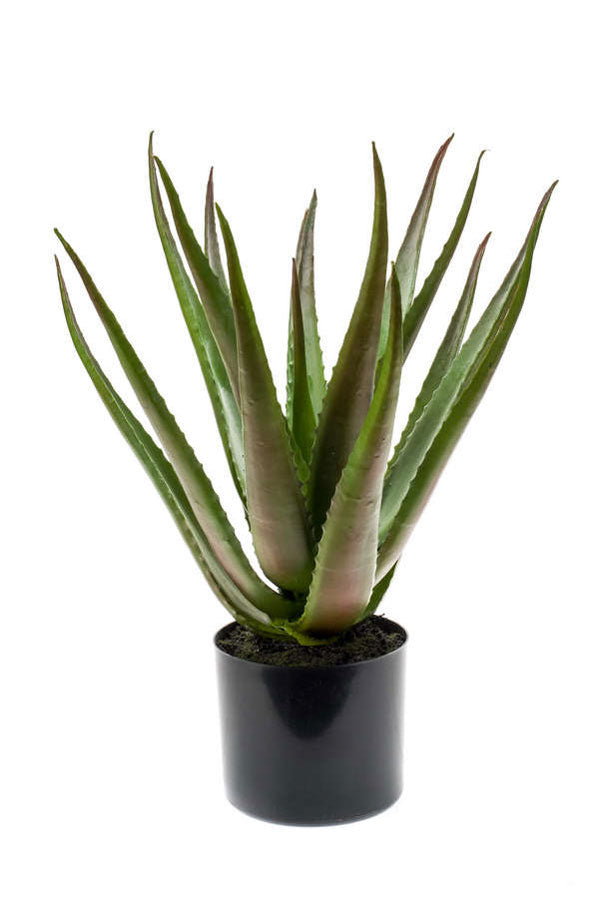Artificial plant Aloe vera green-red including decorative anthracite pot
