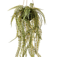 Artificial plant Ferns Nephrolepis  including hanging planter