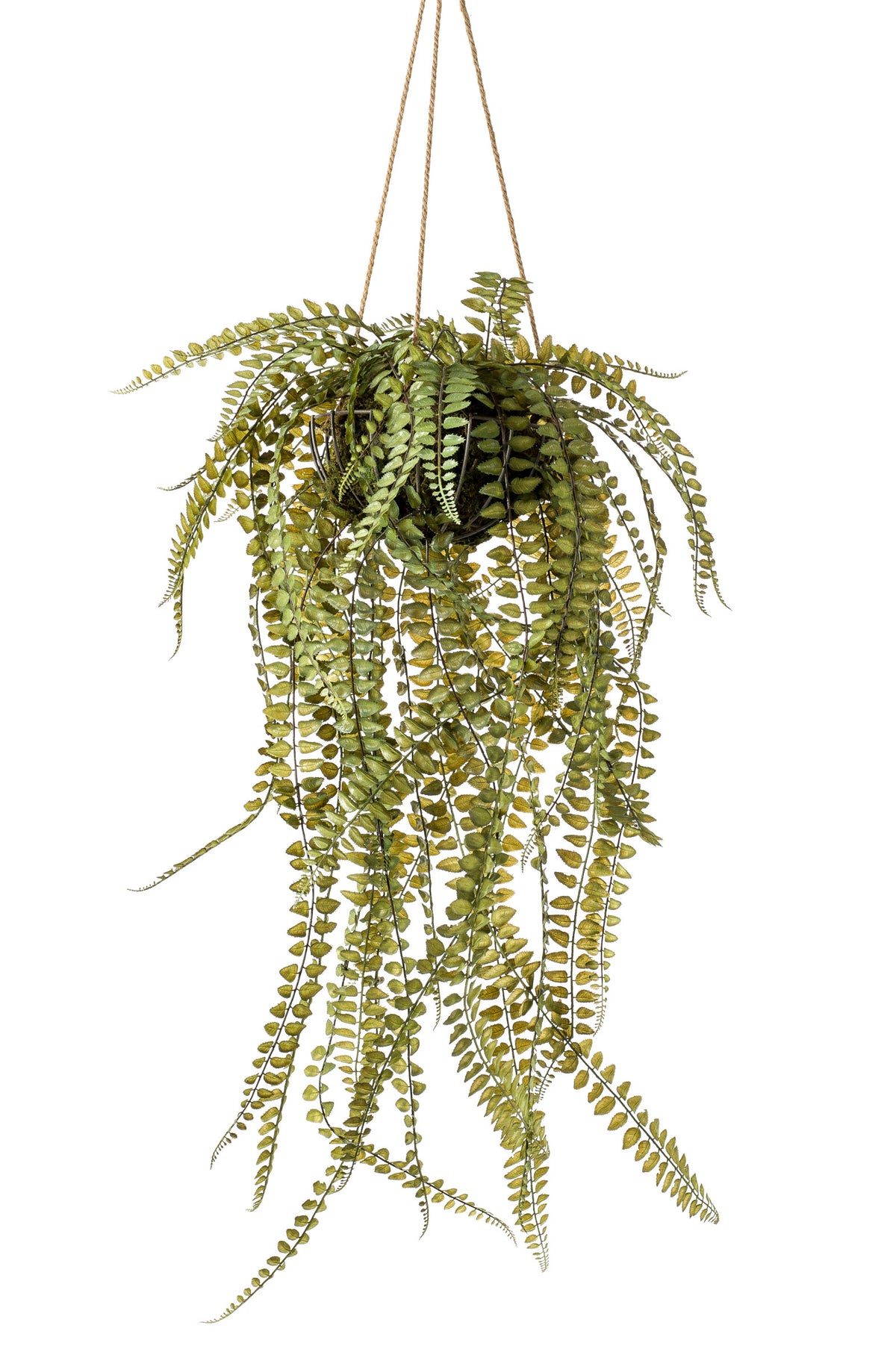 Artificial plant Ferns Nephrolepis  including hanging planter