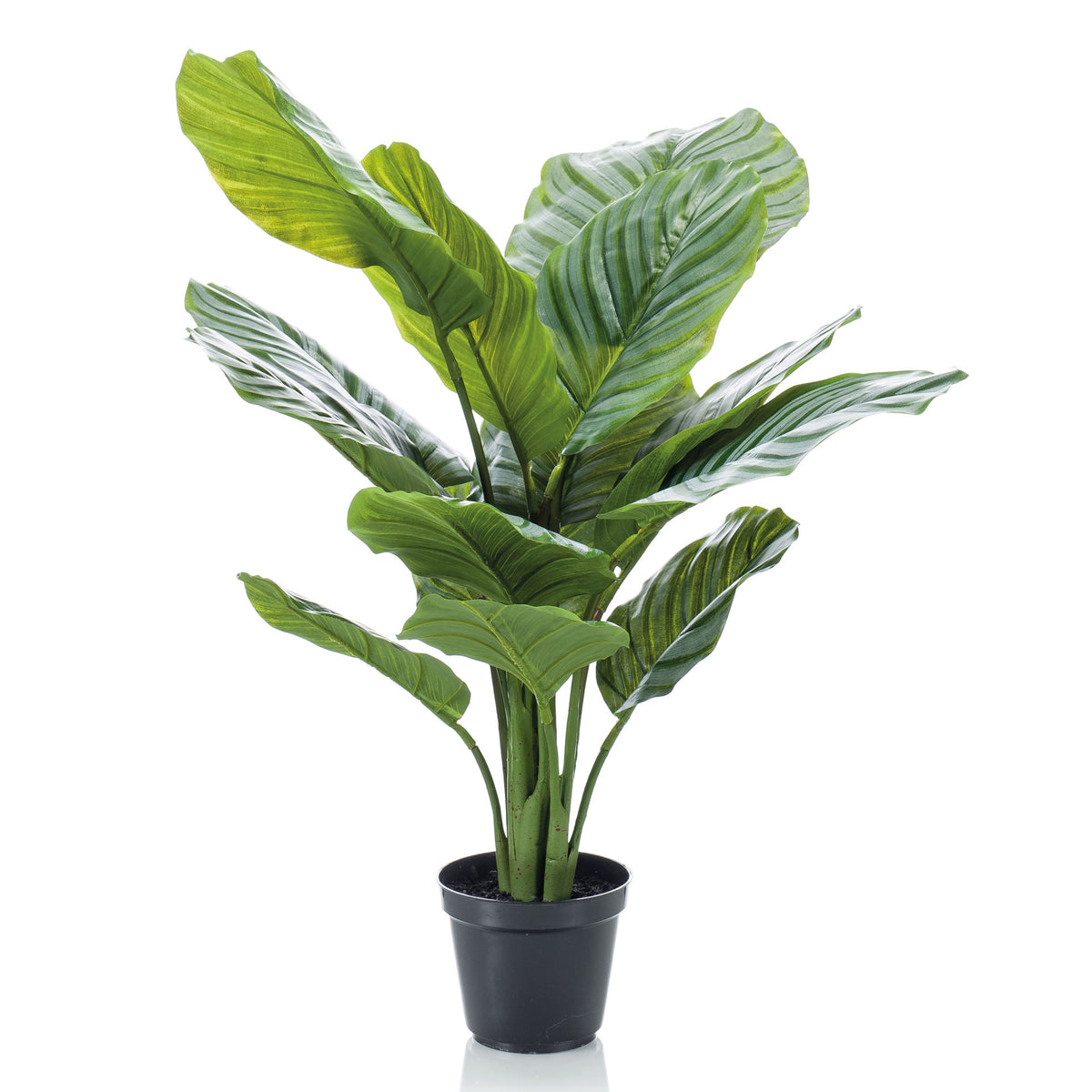 Artificial plant Calathea incl. decorative black pot