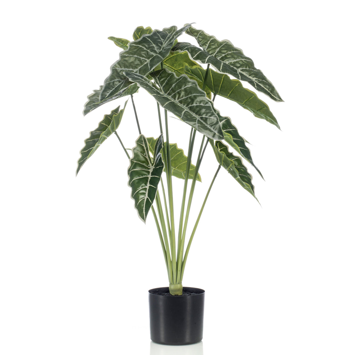 Artificial plant Elephant ear (Taro) Alocasia incl. decorative black pot