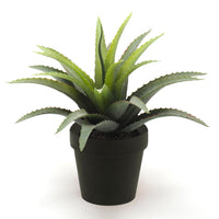 Artificial plant Agave green-red incl. decorative black pot