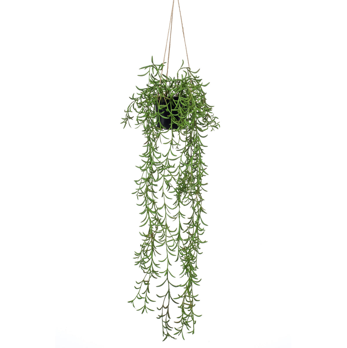 Artificial plant String of dolphins Senecio incl. black hanging planter