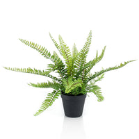 Artificial plant Sword fern Nephrolepis  incl. decorative black pot