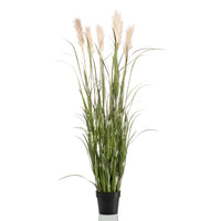 Artificial plant Pampasgras Cortaderia cream incl. decorative black pot