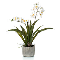 Artificial plant Orchid Oncidium white-yellow incl. decorative ceramic pot