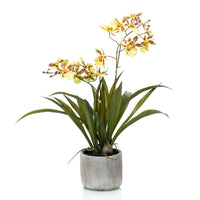 Artificial plant Orchid Oncidium yellow incl. decorative ceramic pot