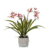 Artificial plant Orchid Oncidium pink incl. decorative ceramic pot