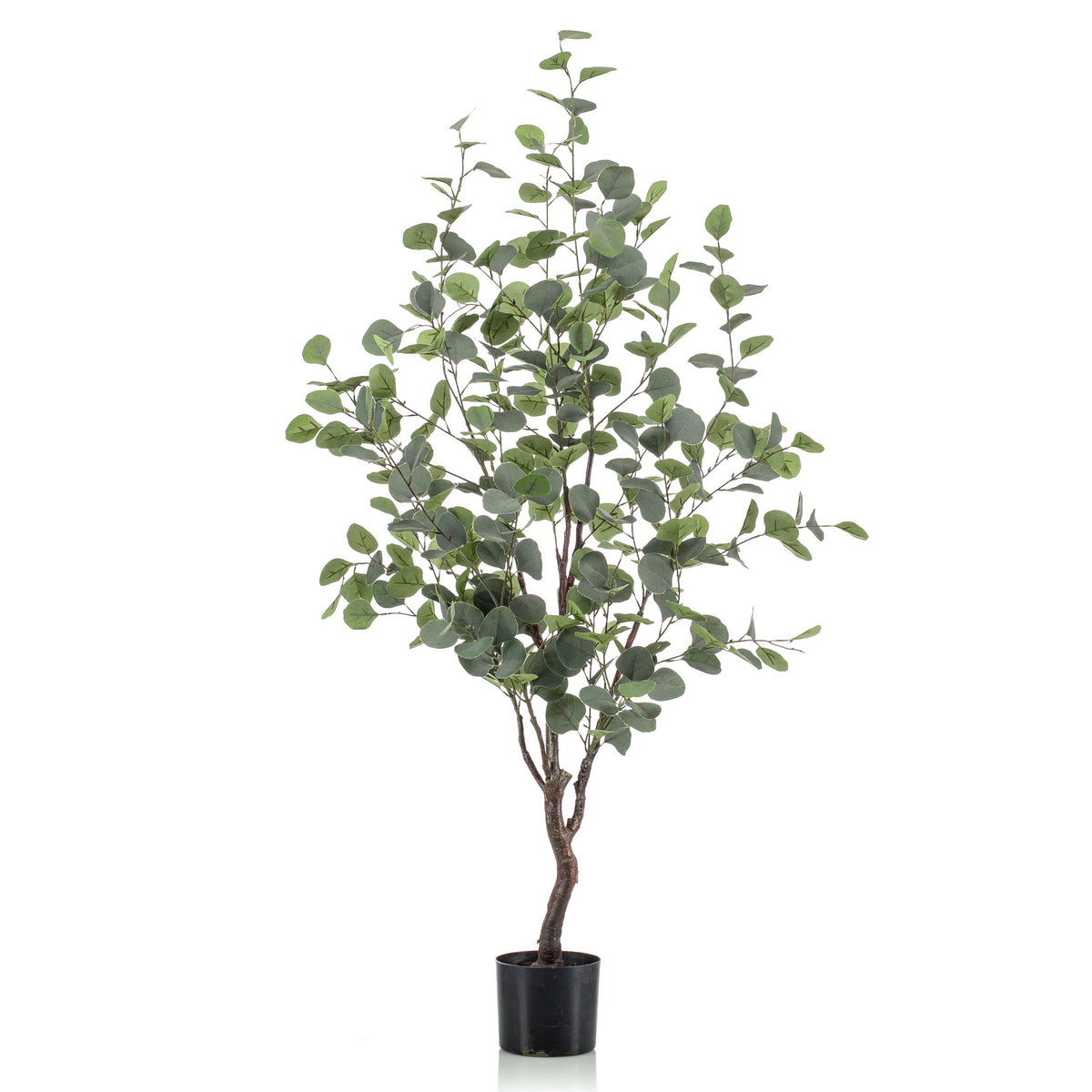 Artificial plant Eucalyptus incl. decorative black pot