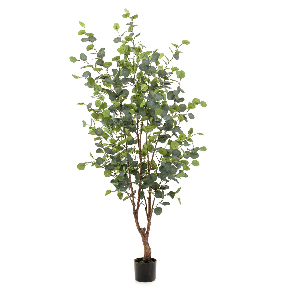 Artificial plant Eucalyptus incl. decorative black pot