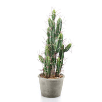 Artificial plant Cactus Stetsonia incl. decorative grey pot