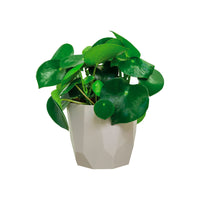 Elho Flower pot B.for rock round grey - Indoor pot