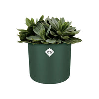 Elho Flower pot B.for soft round green - Indoor pot