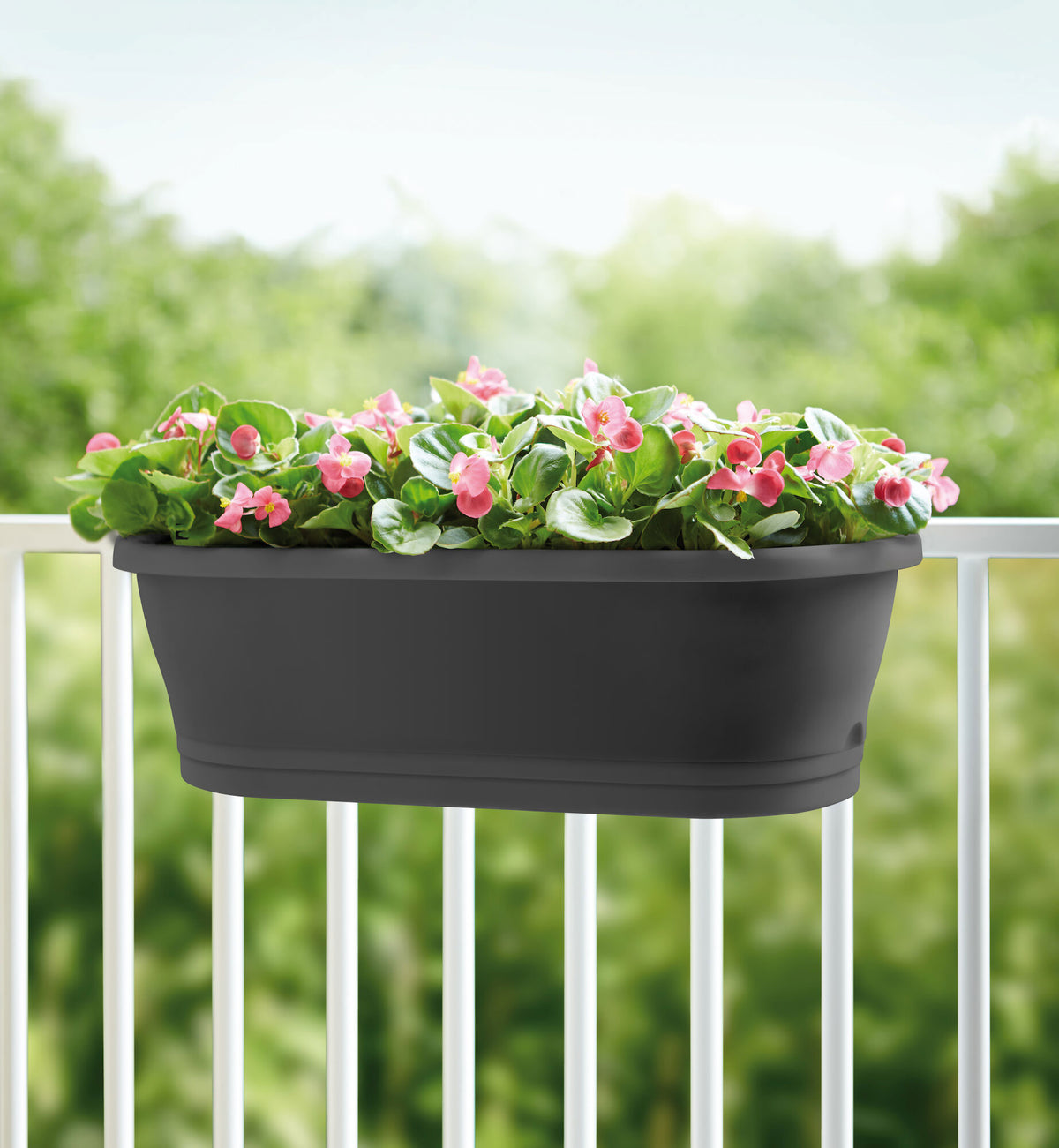 Elho Balcony planter Corsica Easy balcony oval anthracite - Outdoor pot