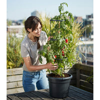 Elho Tomato pot Green basics round black - Outdoor pot