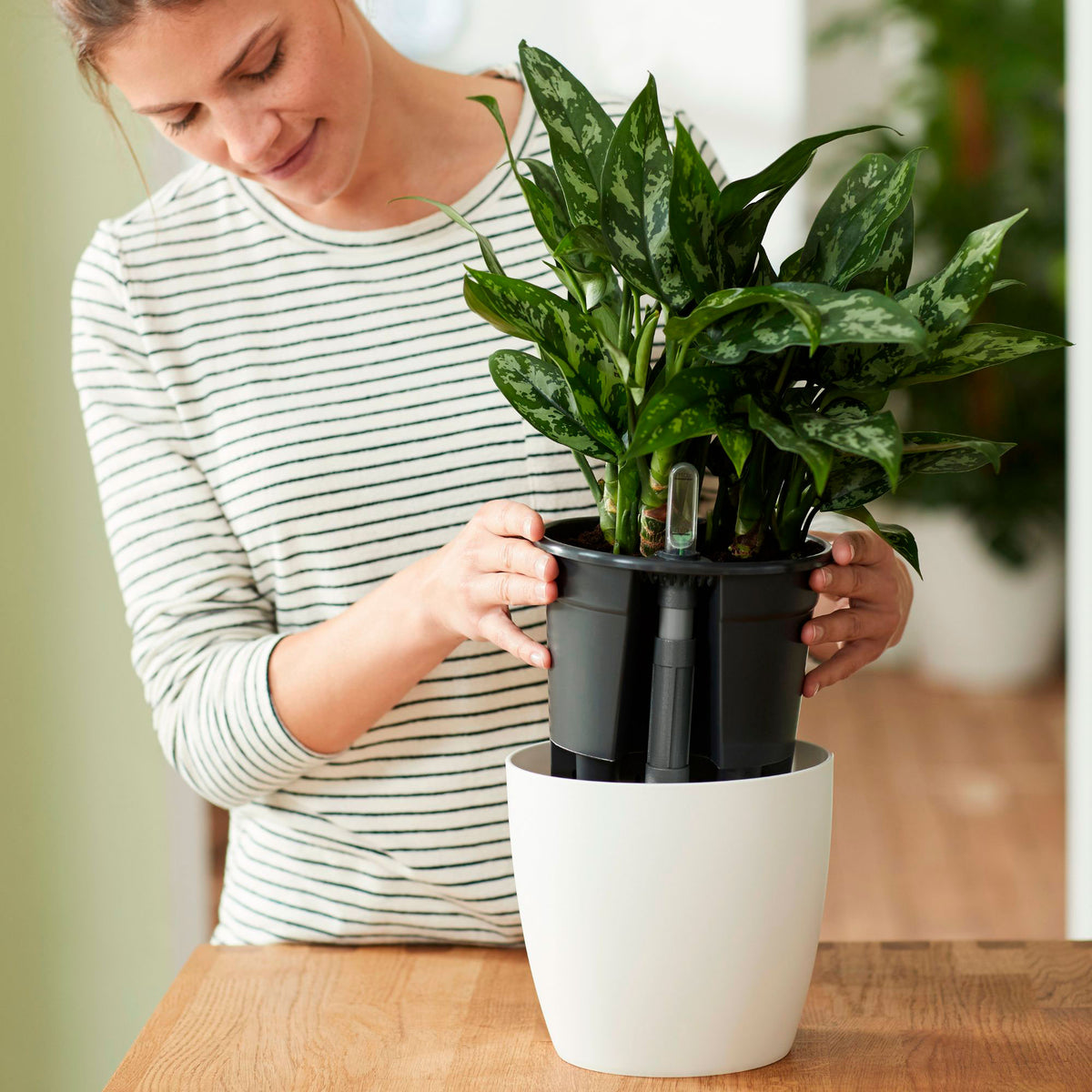Elho Self-watering insert black