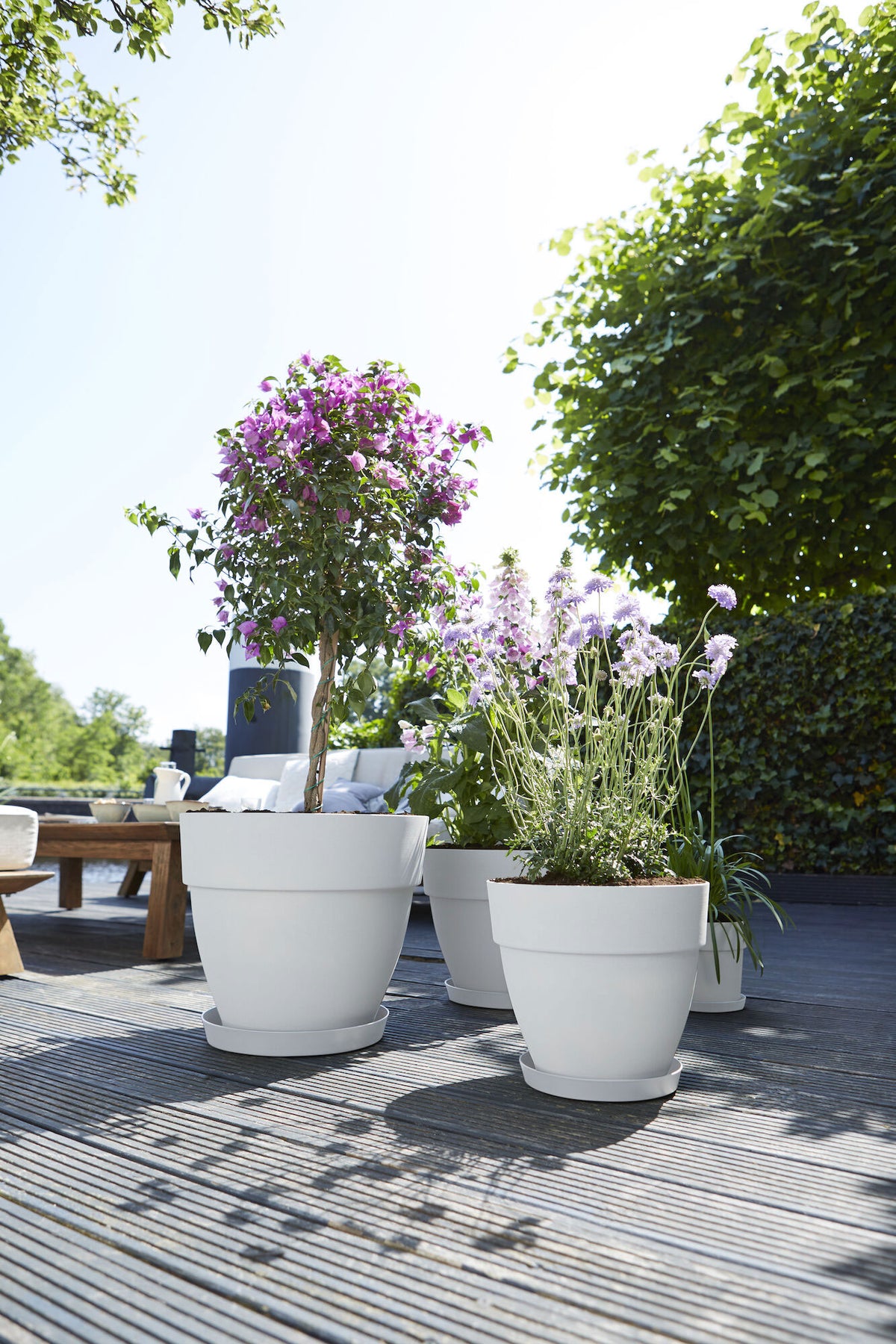 Elho flower pot Vibia campana round white - Outdoor pot