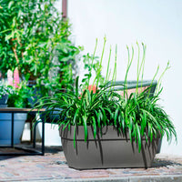 Elho Flower pot Vibia campana Terrace trough rectangular anthracite - Outdoor pot