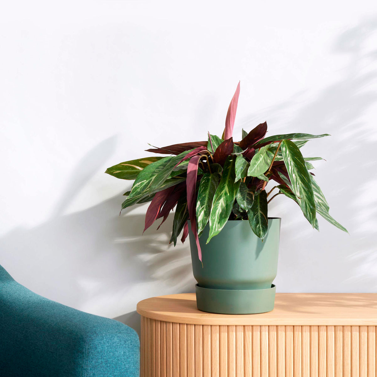 Elho greenville flower pot round green — outdoor pot