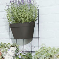 Elho Flower pot Loft urban Green wall duo oval anthracite - Outdoor pot