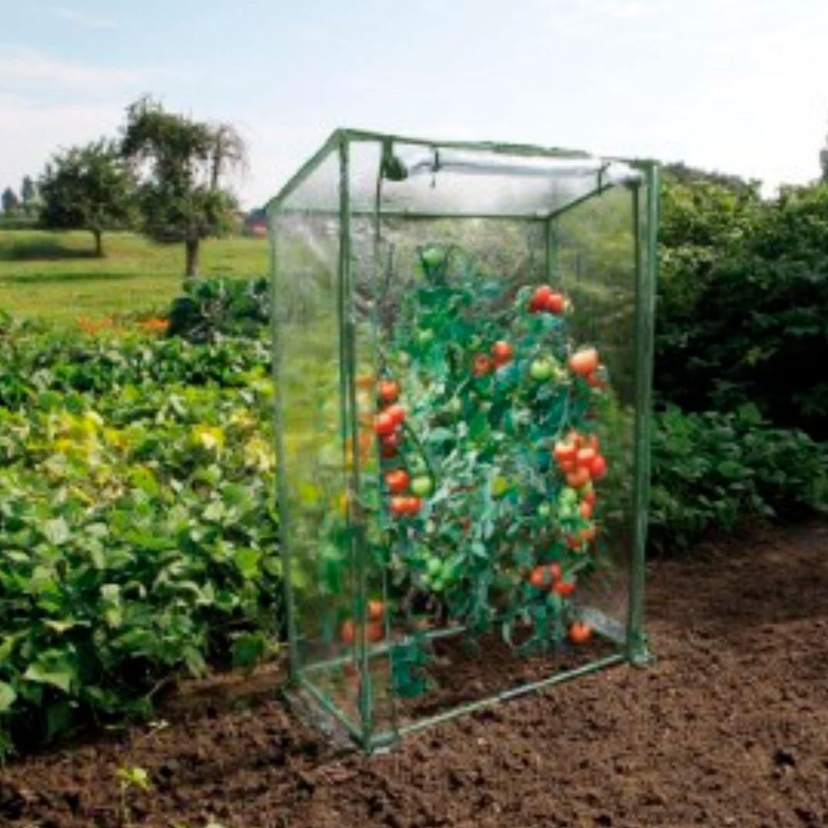 Nature Metal garden greenhouse green