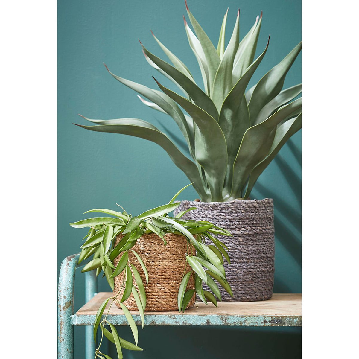 Mica saucer Guido round brown - Indoor pot