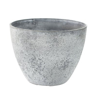 Olive tree Olea europeana including TS decorative pot, grey
