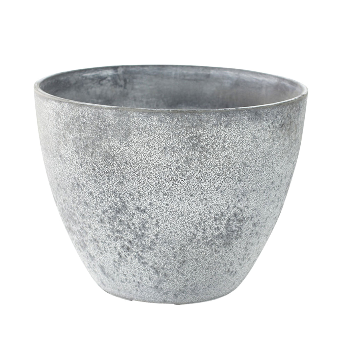 Olive tree Olea europeana including TS decorative pot, grey