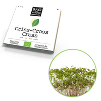 Sowing and growing set Cress Lepidium 'Criss-Cross Cress' - Organic