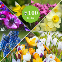 100x Flower bulbs - Mix 'Running Wild'