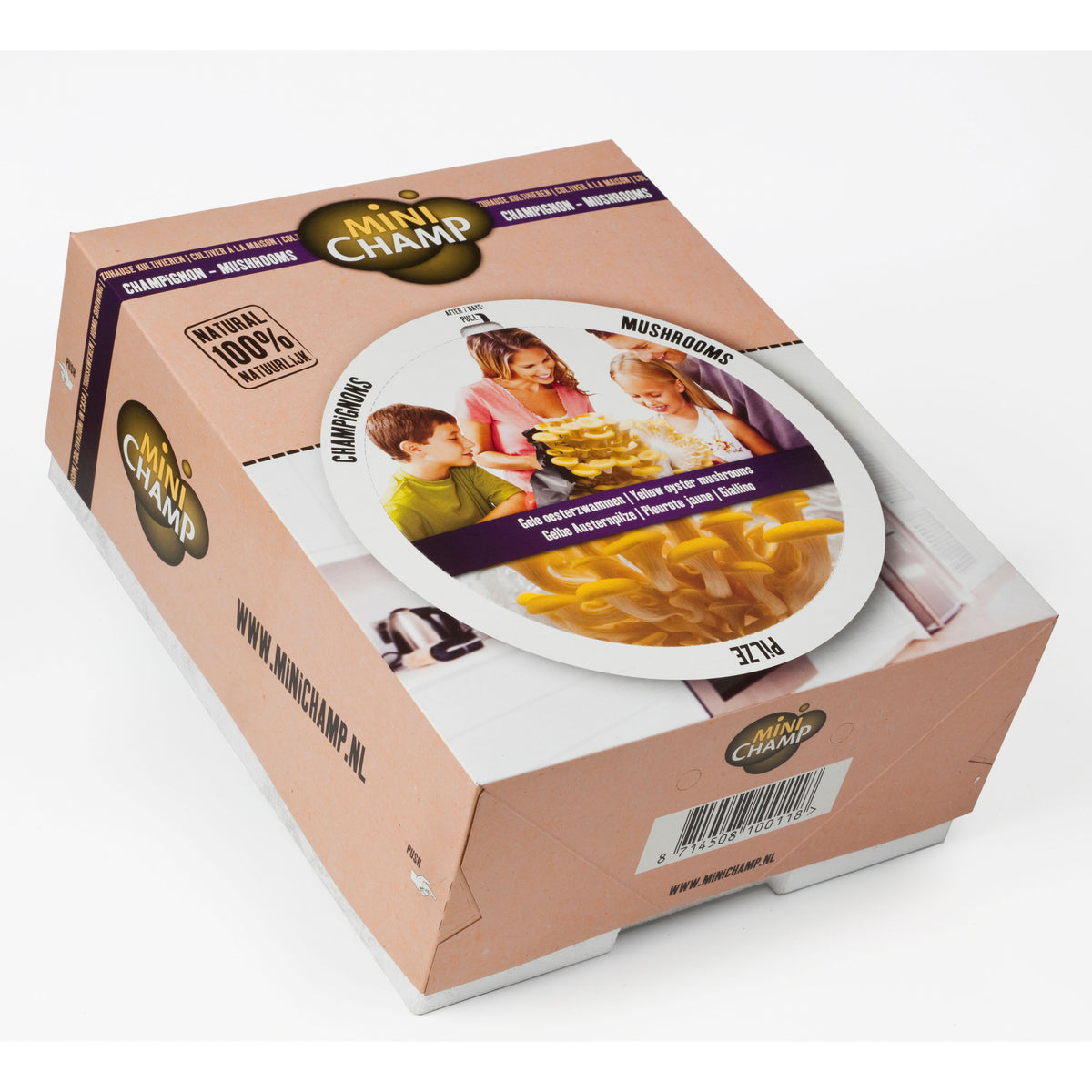 Yellow oyster mushroom cultivation set Pleurotus ostreatus — organic