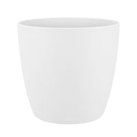 3x Bathroom plants - Mix including decorative white pots