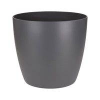 4x Indoor plants that are easy to care for - Mix including decorative anthracite pots