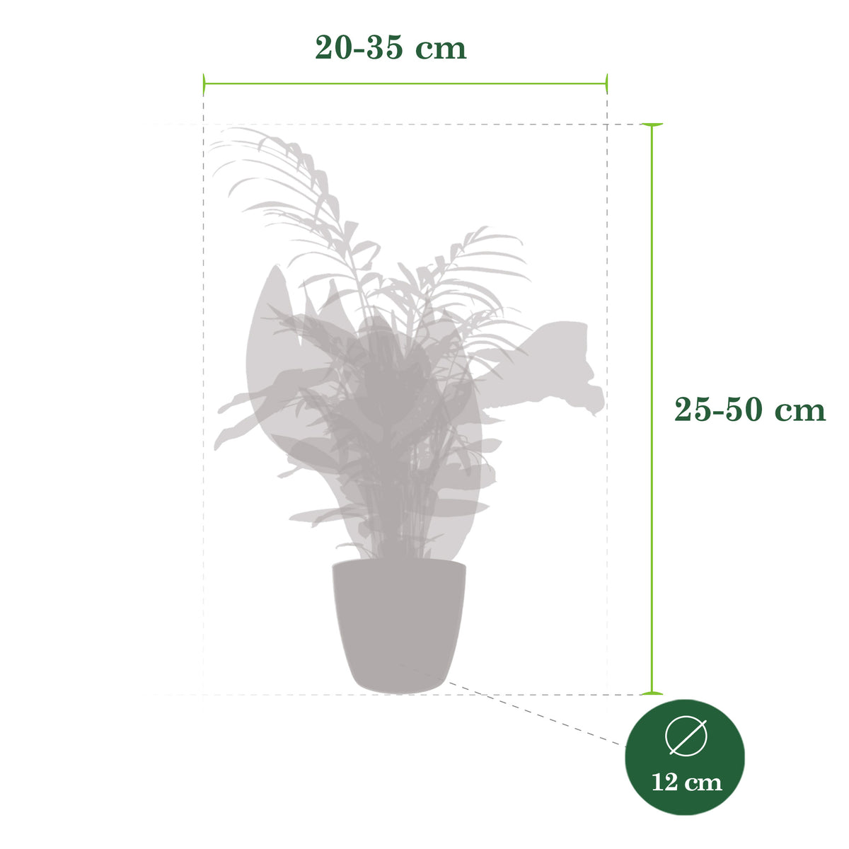 4x Indoor plants that are easy to care for - Mix including decorative anthracite pots