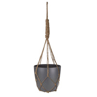 4x Hanging indoor plants - Mix including decorative anthracite pots and hanging rope planter