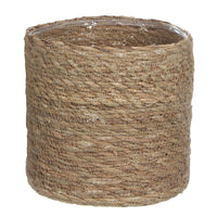 4x Air-purifying Calatheas - Mix including brown baskets