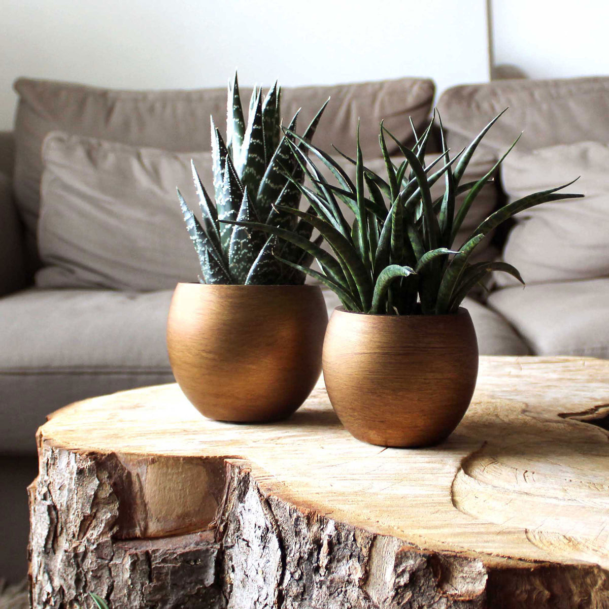 Capi Lux Retro Bulb gold - Indoor pot