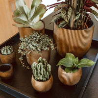 Capi Flower pot Nature Groove round gold - Indoor pot