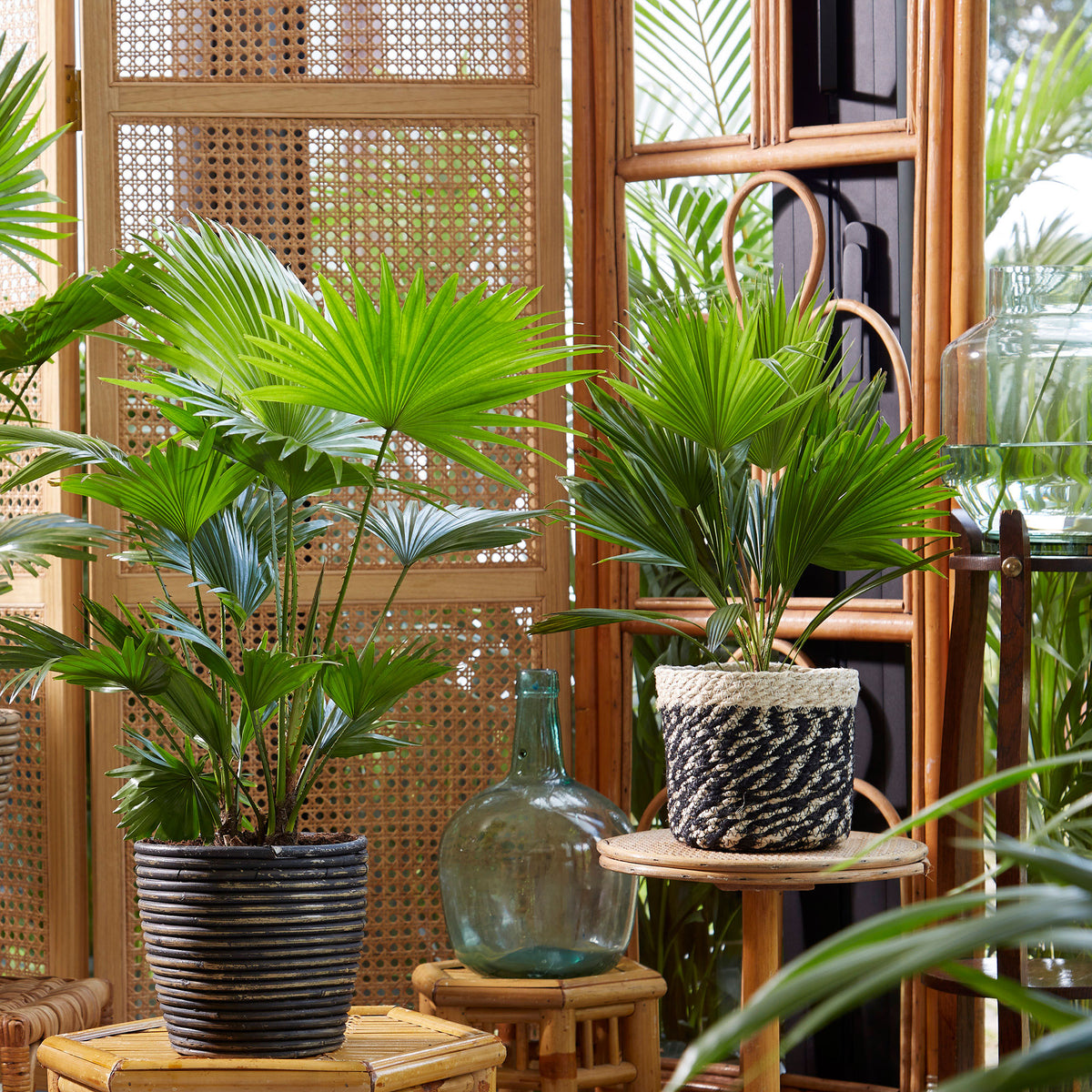 Striped rattan flower pot round black - Indoor pot