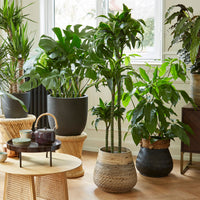Rattan flower pot round grey - Indoor and outdoor pot