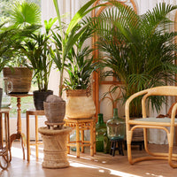 Bamboo basket round brown - Indoor and outdoor pot